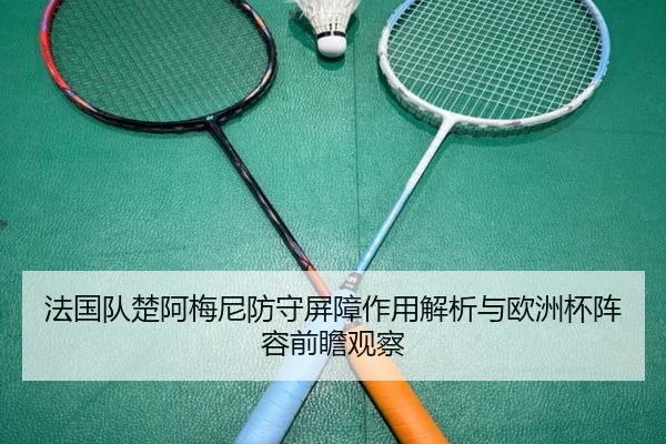 法国队楚阿梅尼防守屏障作用解析与欧洲杯阵容前瞻观察