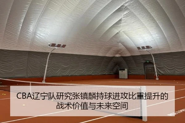 CBA辽宁队研究张镇麟持球进攻比重提升的战术价值与未来空间