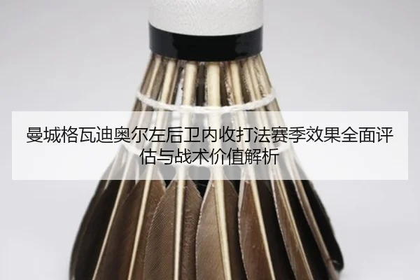 曼城格瓦迪奥尔左后卫内收打法赛季效果全面评估与战术价值解析